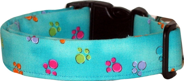 Vibrant Aqua Paws Handmade Dog Collar